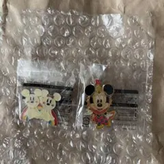 東京ディズニーリゾート ピンバッジ 2種セットのサムネイル