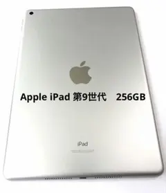 iPad Pro 11インチ 第1世代 64GB セルラーモデル 割れなし - メルカリ