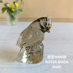 2026年最新】KOSTA BODAの人気アイテム - メルカリ