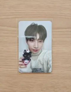 ネクスジ タレントカード