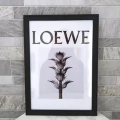 2026年最新】loewe ポスターの人気アイテム - メルカリ
