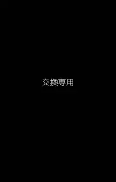 交換専用の商品です⭐︎ 《Le Sserafim チェウォンちゃん》