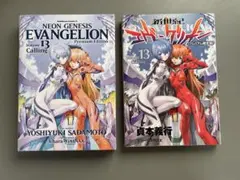 新世紀エヴァンゲリオン 第13巻 プレミアムエディション