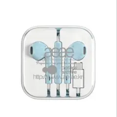 aeae 有線 イヤホン スカイブルー USB-Cタイプ キャップシール付き