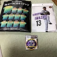 【完売品】阪神タイガース　岩崎優選手　レプリカユニフォーム　ビジター　Mサイズ 2025年最新】岩崎 ユニフォームの人気アイテム - メルカリ
