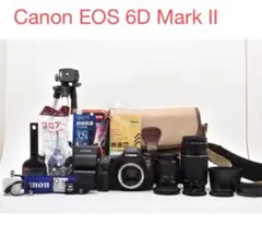 Canon EOS 6D Mark II /標準&望遠ダブルレンズセット - メルカリ