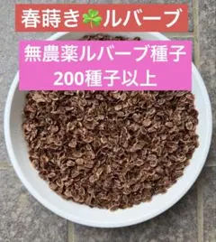 動*ス様 冬季収入 通年雇用確保 マカ種子 300g 3万粒 約10a分 栽培マ