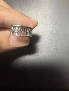 Item thumbnail for item fafb5f84-33b5-4ec0-8e97-4499dd155c59