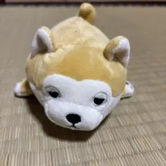 ぬいぐるみ　ジャンク品