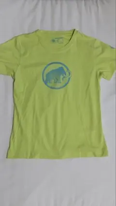 Item thumbnail for item 4da490bf-ad97-47ad-a585-28d2ee0201a1