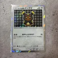 ポンチョを着たイーブイ ブラッキー PROMO SM-Pプロモ 141【超希少