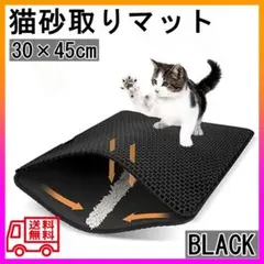 Item thumbnail for item 4171401d-de85-40b6-a61f-daf778374a47