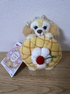 フィルドウィズジョイ ぬいぐるみバッジ クッキーアン