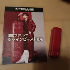 メイベリン MAYBELLINE シャインビースト 03チェリーレッドのいたずら