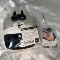 SKZOO スキズ ペンミ コレクトケース ウルフチャン　バンチャン
