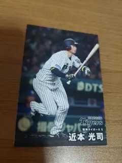 Item thumbnail for item 40d0f781-d809-420f-8521-a23b1d6446fd