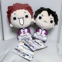 新品未使用 牛若&天童 ハイキュー‼︎ もちぴこぬいぐるみ
