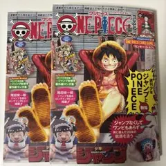 プロモ無し 2冊セット】ONE PIECE ワンピースマガジン 20号 - メルカリ