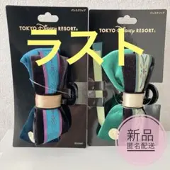 ディズニー　アナと雪の女王　バンスクリップ　ヘアクリップ　アナ　エルサ　アナ雪