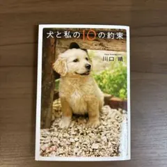 犬と私の10の約束