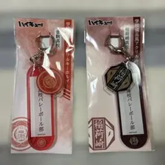 ハイキュー 学校備品風アクリルキーホルダー 音駒 稲荷崎