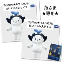 TayNew グッズセット ぬいぐるみ 写真集 アクスタ GMMTV 2026年最新】taynewぬいぐるみの人気アイテム - メルカリ