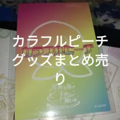 2025年最新】からぴち るな まとめ売りの人気アイテム - メルカリ