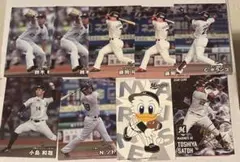 プロ野球チップス 2025 カード