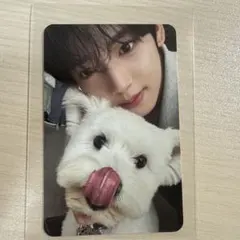 ZB1 ユジン デジパ 封入トレカ レオ all