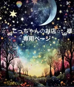 ✩⃛ೄこっちゃんのお店✩⃛ೄ様専用ページ