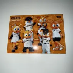BBM 読売ジャイアンツ トレーディングカードセット