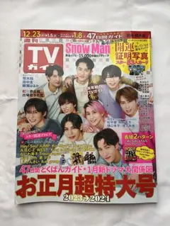 TVガイド お正月超特大号  抜け切り取り無し