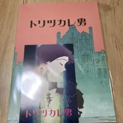 映画パンフレット トリツカレ男