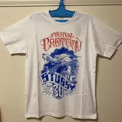 新品未使用　Stussy ドラゴンデザイン Tシャツ