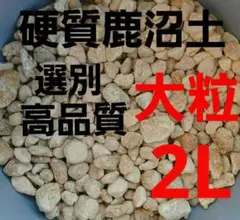 硬質鹿沼土 大粒 2リットル 水捌け重視の配合土にのサムネイル