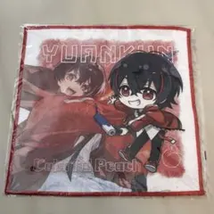 カラフルピーチ からぴち ゆあんくん 一番くじ ハンドタオル ハンカチ