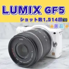 2026年最新】GF5 lumixの人気アイテム - メルカリ