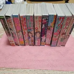 レディースコミック11冊