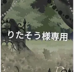 りたそう様専用