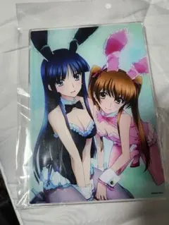 WHITE ALBUM2 アクリルパネル