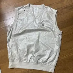 Item thumbnail for item 7abf8e49-d32d-422e-a630-c76953d9c457