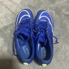 Nike マックスフライ1