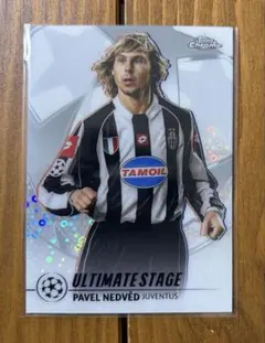 Item thumbnail for item cd7f847f-fe5f-440d-a6b6-6619d18af663