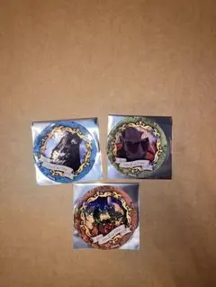 進撃の巨人　激動　ランダムキラめんこ　ミカサ　ジャン　コニー　サシャ　超大型巨人