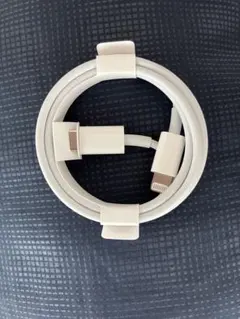 Apple純正Lightning to USB-Cケーブル