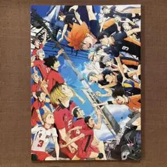 ハイキュー パンフレット ゴミ捨て場の決戦 日向翔陽 孤爪研磨