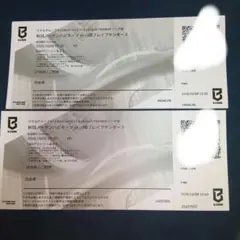 秋田ノーザンハピネッツ vs 川崎ブレイブサンダース 観戦チケット 2枚
