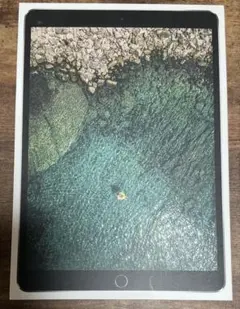 iPad Pro 10.5インチ 64GB Wi-Fiモデル MQDT2J/A