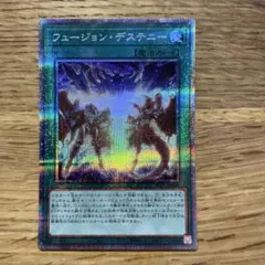 遊戯王 フュージョン・デステニー 25th シークレットレア - メルカリ