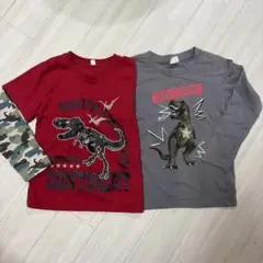 恐竜⭐︎ロンT2点セット